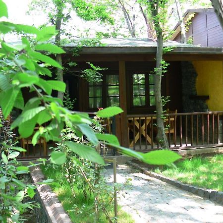 Dolunay Fanizan Hotel Fatsa Buitenkant foto