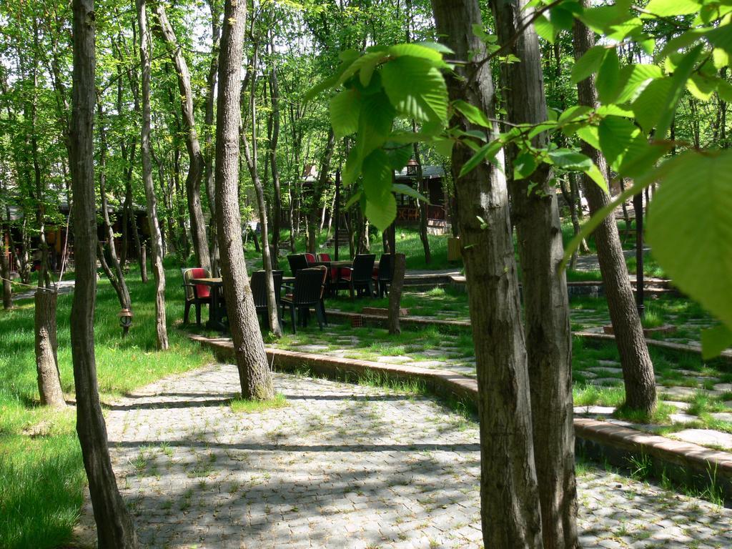 Dolunay Fanizan Hotel Fatsa Buitenkant foto