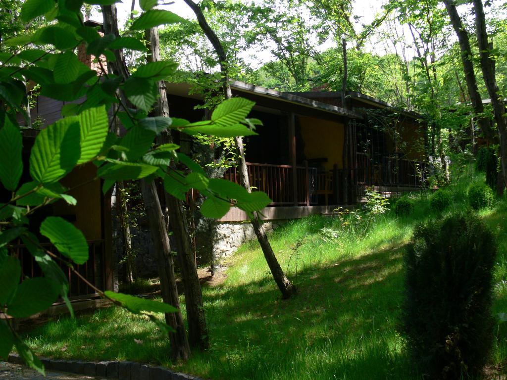 Dolunay Fanizan Hotel Fatsa Kamer foto